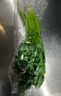 带根香菜100g 实拍图