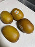 佳沛（zespri）新西兰  阳光金奇异果25-27粒原箱特大果单果约122-146g  猕猴桃 实拍图