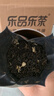 乐品乐茶茉莉花茶特级茶叶2025新茶川派250g横县飘雪自己喝送礼袋热门商品 实拍图