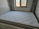 顾家家居京东家具2cm天然乳胶双面可睡席梦思梦想垫PLUS1.5X2.0米京仓闪发 实拍图