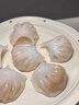 广州酒家 虾饺480g 24只装 早餐半成品 广式早茶点心 生鲜食品速食美食 实拍图