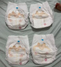 好奇（Huggies）软萌星人柯基裤拉拉裤XXL26片(15kg以上)尿不湿【软糯贴贴】 实拍图