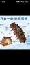 辽参大连有机冷冻海参礼盒2斤20-24只非即食京东自营旗舰店固形物85% 实拍图