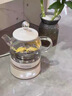 膳魔师（THERMOS） 迷你养生壶办公室煮茶器电水壶恒温电热水壶玻璃花茶壶养生杯 礼物 七夕情人节礼物 EHA-1602E-G(本白色） 0.55L 实拍图
