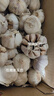 精选新鲜山东大蒜干蒜多瓣蒜头蔬菜批发产地直发大蒜头 优选 5斤 (果径≥3.5cm) 实拍图