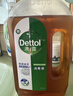 滴露（Dettol）消毒液250ml 衣物消毒水家居室内环境地板消毒 衣物除菌剂甲流感 实拍图