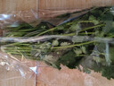 带根香菜100g 实拍图