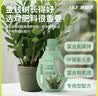 施可丰金钱树营养液专用肥料黄叶落叶烂根叶子发黄掉叶枯黄钱串子盆栽肥 实拍图