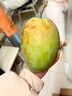 京鲜生 攀枝花凯特芒果 净重4.5斤 单果700g 生鲜水果 源头直发 实拍图