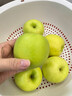 甜盟 陕西白水瑞雪苹果【多地区次日达】新鲜脆纯甜青苹礼盒玫瑰香 5斤精品果70mm-75mm净重4.5斤 尝鲜试吃装【聚划算】 实拍图