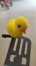 卖萌神器小黄鸡小黄鸭发夹弹簧头饰班级幼儿园礼品儿童发夹 小黄鸭发夹5个 实拍图