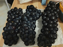 云南夏黑葡萄无籽黑提子黑加仑巨峰孕妇当应季新鲜水果现摘当季 云南建水夏黑葡萄4斤 实拍图