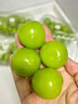 京鲜生国产阳光玫瑰净重4.5斤单果13g 葡萄/提子生鲜水果源头直发包邮 实拍图