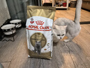 皇家猫粮 英短成猫粮 BS34 通用粮 12月以上 2KG 实拍图