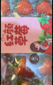 京鲜生 丹东99红颜奶油草莓 1.8斤礼盒装 300g*3盒 单果14-20g 生鲜水果 实拍图