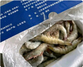 京东超市 海外直采泰国活冻黑虎虾(超大号20/30规格)净重850g 17-26只/盒 实拍图