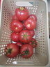 新鲜沙瓤大番茄生吃西红柿减肥早餐即食新鲜蔬菜生鲜单果＞100g 试吃装 1斤 实拍图