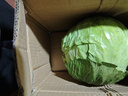 高原夏菜新鲜包菜卷心菜绿甘南菜甘蓝圆白菜时令蔬菜健康营养早餐 3斤带箱农家好菜 实拍图