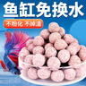 派乐特 鱼缸中空石英球过滤材料细菌屋硝化培菌球桶龟缸生化石水族箱 实拍图