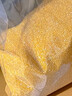 十月稻田 玉米糁 2斤(玉米渣 小细颗粒 玉米 杂粮 真空装 大米伴侣) 实拍图