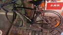 坎普（CAMP）RADON 公路车铝合金顺泰18变速单车圈刹运动赛车碳纤维前叉自行车 黑金钢 18速 480码 实拍图