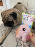 天元宠物外星系列狗狗玩具【波波-粉色独眼仔】 小狗磨牙耐咬毛绒玩偶 晒单实拍图