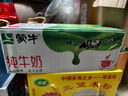蒙牛【新鲜日期】全脂纯牛奶250ml*24盒 送礼盒装 电商定制 实拍图