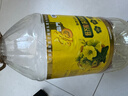 鲁花【保真菜籽油】非转基因低芥酸浓香菜籽油 6.09L 香飘万家 实拍图