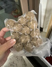 海霸王潮汕牛肉丸200g*5袋2斤肉含量90%+火锅食材关东煮丸子烧烤麻辣烫 实拍图