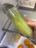 滇味十足（DIANWEISHIZU）水果玉米甜玉米云南金银双色新鲜甜嫩水果玉米棒鲜玉米茄果瓜 金银双色 【精选5斤】（净重 约5-9根） 实拍图