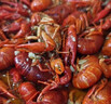 海底捞麻辣小龙虾1.25kg 2025年新虾 均级4-6钱 净虾800g整虾加热即食 实拍图