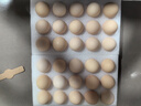 京鲜生【每日鲜蛋】无抗谷物鸡蛋30枚 3.18斤 当日产蛋 当日发货 实拍图