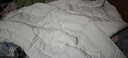 富安娜 舒暖 纤维被子冬季被芯 双人磨毛冬厚被 约7斤 230*229cm 白色 实拍图