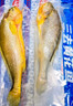 GUO LIAN国联三去黄花鱼2条共净重2斤宁德东海大黄鱼去鳞去鳃去内脏免处理 实拍图