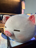 名创优品（MINISO）小猪B-BO弹力超柔趴姿毛绒公仔玩偶抱枕儿童玩具送女友生日礼物女 实拍图