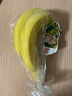 黄胖子进口香蕉650g 实拍图