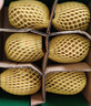 佳沛（zespri）新西兰  阳光金奇异果6粒装 单果约77-103g  源头直发  猕猴桃 实拍图