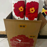 宜婴弱酸红山茶花4XL56片+2片拉拉裤超薄小内裤【品牌直供 安心品质】 实拍图