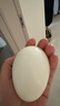 百世富泽（BAISHIFUZE）【百世富泽】黄河滩大鹅蛋新鲜正宗土鹅蛋农家自养孕妇超大鹅蛋 6枚115-130克 实拍图