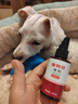 金盾药业皮特芬喷剂加强型100ml猫藓狗癣皮肤马拉色菌宠物掉毛真菌喷雾 实拍图