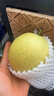 京鲜生 河北青皮皇冠梨 净重8斤 单果200g+  生鲜水果 源头直发 实拍图