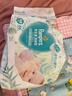 帮宝适超薄透气清新帮透氧Pro新生儿婴儿纸尿裤尿不湿尿片尿布NB66 实拍图