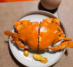 棠鲜生【包活到家】广东正宗膏油黄油蟹 鲜活特大节年货送礼海鲜礼盒 【1只膏油黄油蟹】（4-5两） 实拍图
