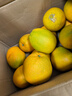 京鲜生 江西赣南脐橙 净重8斤装 单果200g+ 生鲜水果 源头直发包邮 实拍图