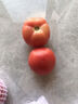 正宗沙瓤西红柿水果番茄自然熟新鲜蔬菜生鲜减肥单果80g起 1斤 带箱 实拍图