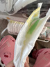 花王妙而舒纸尿裤S82片(4-8kg)新生儿小号婴儿尿不湿柔软亲肤安心锁水 实拍图
