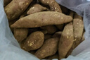 正宗黄心板栗红薯新鲜沙地蜜薯粉糯香甜宝宝辅食直播间京东包邮 板栗红薯 3斤 含箱 中小果（单两1两-3两） 实拍图