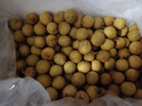 京鲜生泰国进口龙眼 巨无霸金标 净重5斤 果径28mm以上 水果源头直发 实拍图