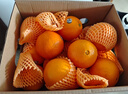 新奇士（Sunkist） 澳洲黑标晚熟脐橙 8斤礼盒装  单果220g起 新鲜水果礼盒 实拍图