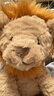 Jellycat波浪毛狮子动物毛绒玩偶公仔安抚潮玩送礼娃娃圣诞节生日礼物 波浪毛狮子 Medium 实拍图
